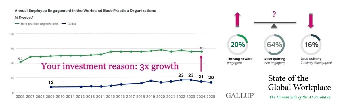 Employee engagement, best practice workplaces vs the usual teams