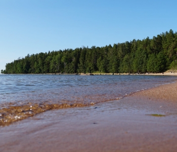 Why Fastness is the Problem for Your Mental Health