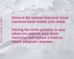 Navigating Stress: The Importance of Self-Initiative in Becoming A Calm Person