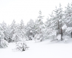 How to silence the mind and benefit from inner calmness?