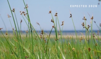 MOVING BEYOND DEPRESSION <i>Expected release: 2026</i>